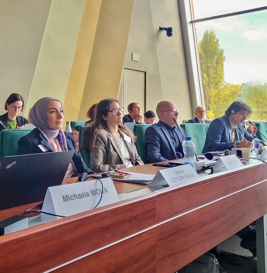 Avrupa Konseyi Irkçılığa ve Hoşgörüsüzlüğe Karşı Avrupa Komisyonu Yıllık Semineri’ne Katılım Sağlandı