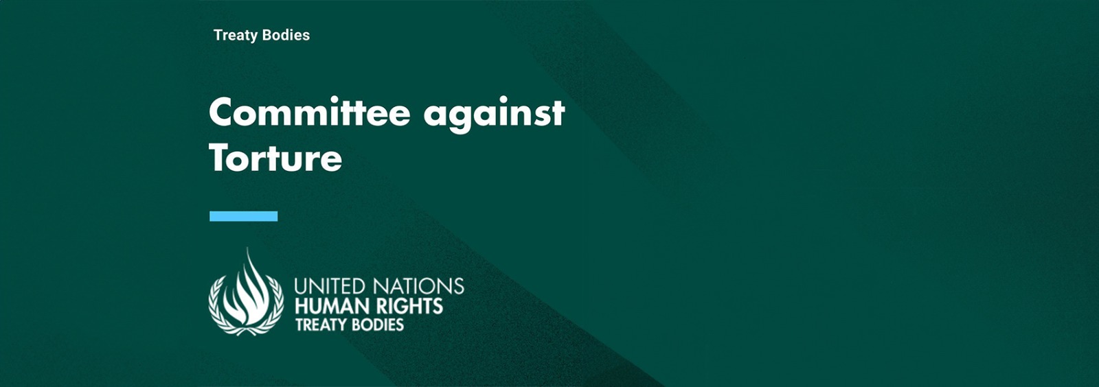 Participation in a meeting with national human rights institutions within the scope of the Committee Against Torture's 80th Session