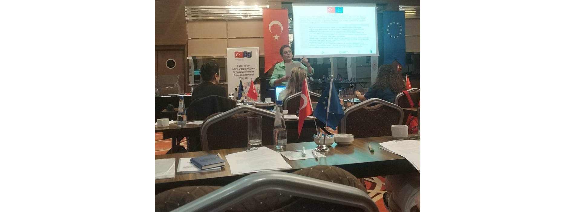 Ulusal İklim Değişikliğine Uyum Stratejisi ve Eylem Planı Sektörel Uygulama Planları İstişare Toplantısına Katılım Sağlandı
