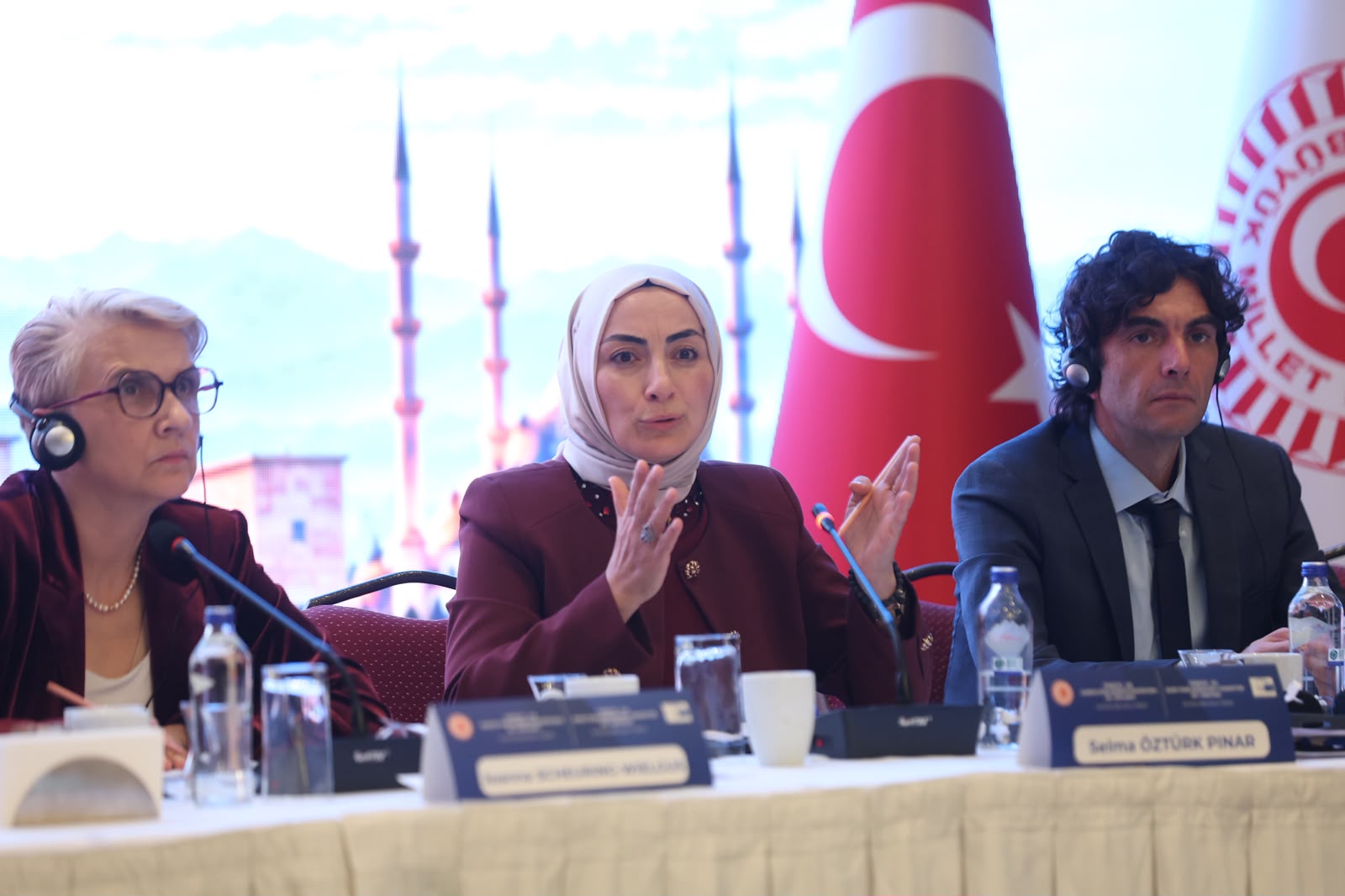 Türkiye-Avrupa Birliği Karma Parlamento Komisyonu 82. Toplantısı'na Katılım Sağlandı