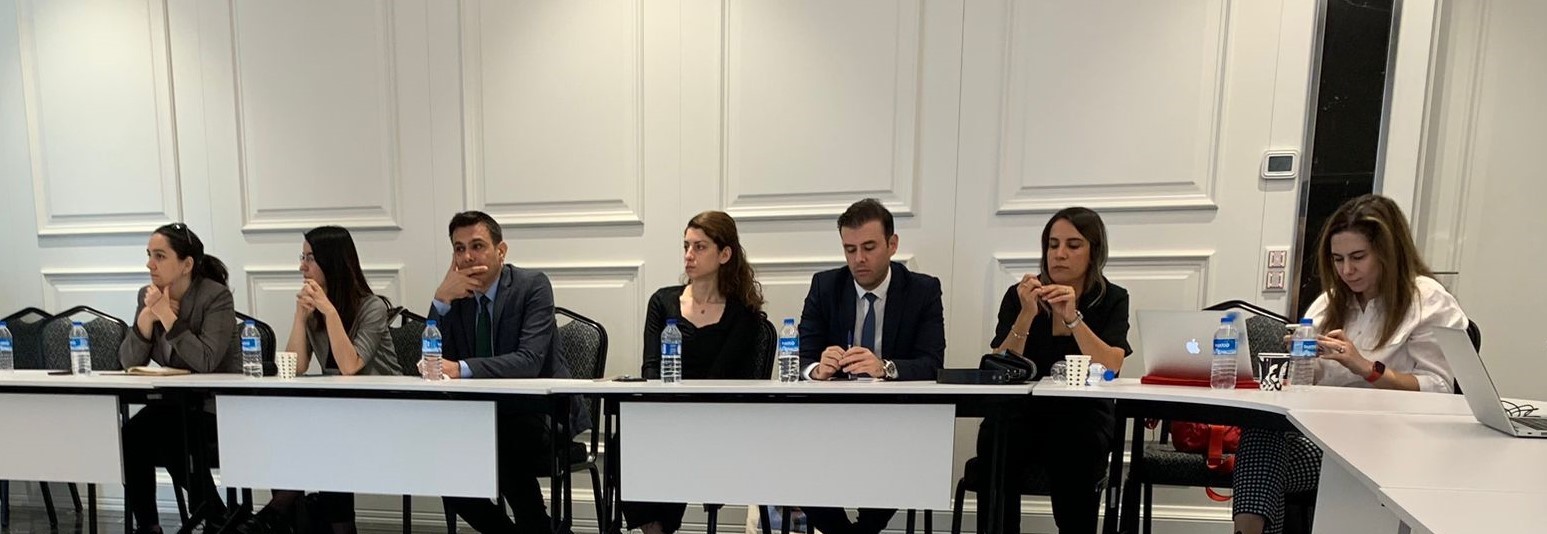 Ulusal İklim Değişikliğine Uyum Stratejisi ve Eylem Planı Çalışmalarına Katılım Sağlandı