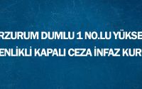 Erzurum Dumlu 1 No.lu Yüksek Güvenlikli Kapalı Ceza İnfaz Kurumu