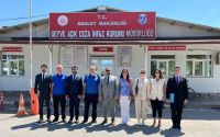 Unannounced Visit to Geyve Open Penitentiary Institution 