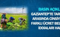 Gaziantep’te Tarım İşçileri Arasında Cinsiyete Dayalı Farklı Ücret Belirlenmesi İddiaları Hakkında Basın Açıklaması