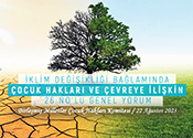 İklim Değişikliği Bağlamında Çocuk Hakları ve Çevreye İlişkin 26 No'lu Genel Yorum